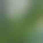Dalles de gazon artificiel pour du00e9coration (5pcs) | GRASSTILE