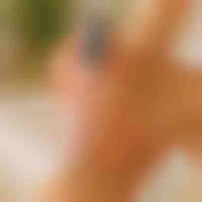 Pieds lisses et doux | PEDIVIA