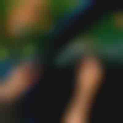 Joint de porte de voiture (5m) | EVOSEAL