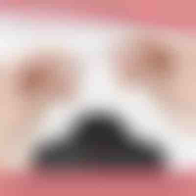 Fermoir magnétique pour collier (12 pcs) | MAGILINK