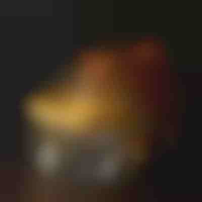 Fontaine d'Hydratation pour Animaux de Compagnie | PETSPRINGLE