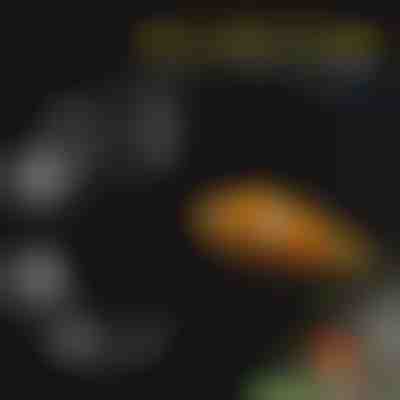 Ensemble de plateaux d’alimentation pour aquarium | FINTROL