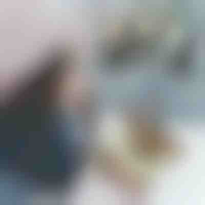 Mouffles avec animaux en peluche MITTENPET