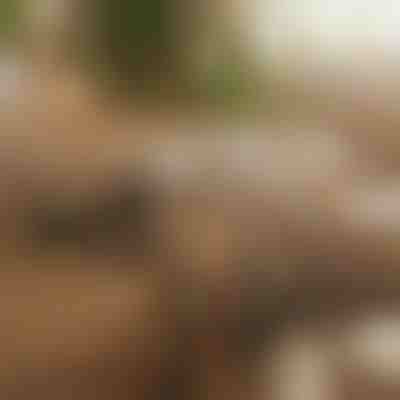 Organisateur de câbles magnétique autocollant (12 pièces) | CABLIP