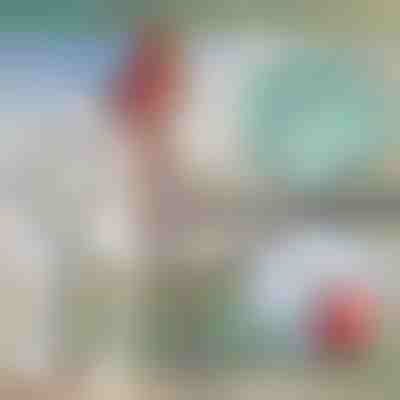 Perche télescopique en métal pour bateau | FASTDOCK