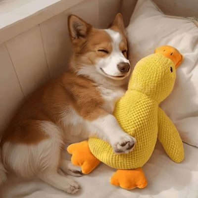 Jouet en peluche apaisant pour chien avec bruit de canard - réduit l'anxiété de séparation | CALMQUA