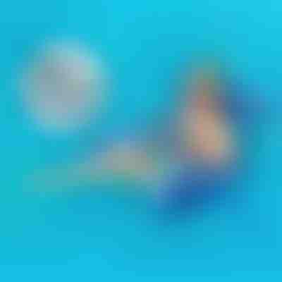 Confort au bord de la piscine pour chaque escapade – Set de 2 pièces | POOLYRA